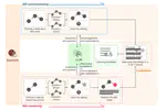 BIDTrainer：一款帮助学生理解和推理仿生设计方案的教育工具